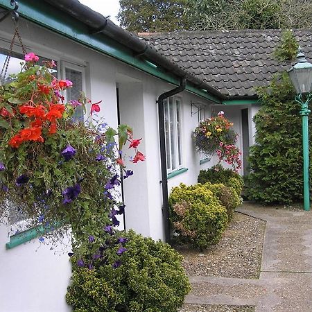 Watton The Willow House מראה חיצוני תמונה